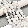 Natural White African Opal Beads Strands G-H005-C10-01-2