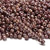 TOHO 6/0 Round Beads X-SEED-TR06-1203-2