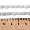 Ombre Effect Dyed Glass Beads Strands GLAA-I059-01H-4