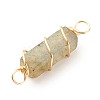 Natural Labradorite Connector Charms PALLOY-JF01580-01-4