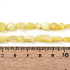 Natural White Shell Beads Strands SHEL-N036-21H-4