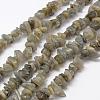 Natural Labradorite Beads Strands G-F521-13-1