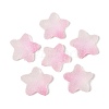 Imitation Candy Food Style Resin Cabochons RESI-R461-02K-1