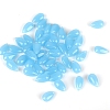 5Pcs Transparent Glass Beads GLAA-PW0001-25L-1
