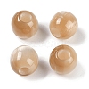 Resin European Beads RESI-F055-02B-1