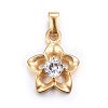 304 Stainless Steel Pendants STAS-P216-39G-1