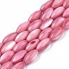 Natural Freshwater Shell Beads SHEL-R047-02D-1