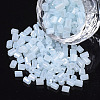 6/0 Two Cut Glass Seed Beads SEED-S033-08B-02-1