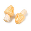 Mushroom Themes Resin Display Decorations DJEW-S002-01D-2