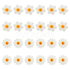 24Pcs 2 Styles Natural Freshwater Shell Beads SHEL-HS0001-05-1