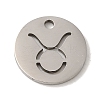 Non-Tarnish 201 Stainless Steel Charms STAS-E217-10P-02-1