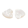 Natural White Shell Carved Cabochons SSHEL-B006-04-3