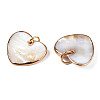 Natural White Shell Pendants SHEL-S278-074-4