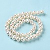 Natural Cultured Freshwater Pearl Beads Strands PEAR-E018-05-3