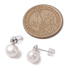 Natural Pearl Ear Studs EJEW-P286-21P-3