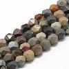 Natural Ocean Jasper Beads Strands G-R448-8mm-11-1