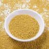 MIYUKI Delica Beads SEED-MY11-DB2102-2