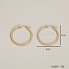 304 Stainless Steel Hoop Earrings BD2905-1-4