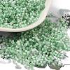 Two Tone Inside Colours Transparent Glass Seed Beads SEED-C004-05B-1