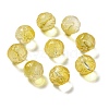 Transparent Glass Beads GLAA-D025-03J-1