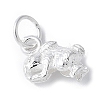 925 Sterling Silver 3D Chinese Zodiac Charms STER-P066-01S-04-1