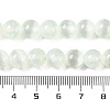 Natural Selenite Beads Strands G-C142-01B-06-5