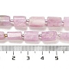 Natural Kunzite Beads Strands G-G068-A12-01-5