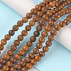 Natural Miriam Stone Beads Strands G-G0003-C05-C-2