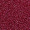 TOHO Round Seed Beads SEED-TR11-0798-2