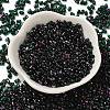 Spray Painted Glass Seed Beads SEED-F005-10A-04-2