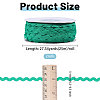 2 Rolls 2 Colors Polyester Ribbon OCOR-GL0001-33A-2