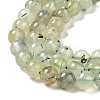 Natural Prehnite Beads Strands LS-G-S333-6mm-032-5