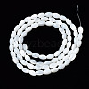 Natural Trochid Shell/Trochus Shell Beads Strands SSHEL-S266-021A-01-2