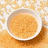 12/0 Transparent Glass Seed Beads X-SEED-F003-03C-01-2