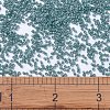 MIYUKI Delica Beads SEED-J020-DB2131-4