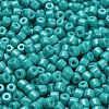 Baking Paint Pearlized Glass Seed Beads SEED-C001-04A-06-3