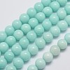 Natural Malaysia Jade Beads Strands G-A146-10mm-B07-1