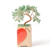 Heart Money Tree Natural Natural Green Aventurine Bonsai Display Decorations DJEW-G027-16RG-04-3