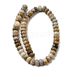 Natural Fossil Coral Beads Strands G-A280-A08-03-3