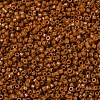 MIYUKI Delica Beads SEED-MY11-DB2109-3