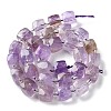 Natural Amethyst Beads Strands G-B065-A07-3