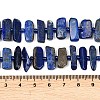 Natural Lapis Lazuli Beads Strands G-K393-B05-5