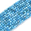 Natural Apatite Beads Strands G-P542-A06-02-1