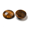 Natural Tiger Eye Cabochons G-C115-02A-36-2