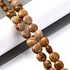 Natural Picture Jasper Beads Strands G-T047-A22-01-2