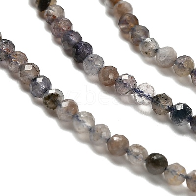 Natural Iolite Beads Strands LS-G-RM2025-22-3mm-1