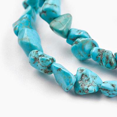 Natural Howlite Beads Strands X-TURQ-G101-03-1