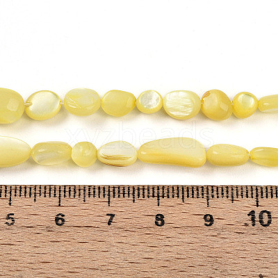 Natural White Shell Beads Strands SHEL-N036-21H-1