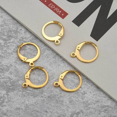 304 Stainless Steel Leverback Earring Findings X-STAS-P210-30G-1