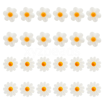 24Pcs 2 Styles Natural Freshwater Shell Beads SHEL-HS0001-05-1